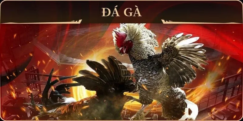 Game Đá Gà Online